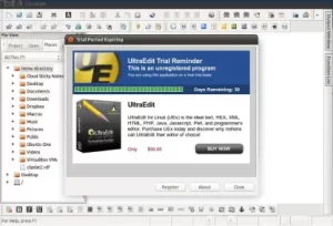 UltraEdit 29.1.0.123 With Keygen 2023 Free Download
